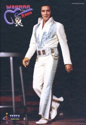 The King Elvis Presley, Front Cover, Book, 2014, Elvis in Motion: Wahoo from Omaha - Volume 2