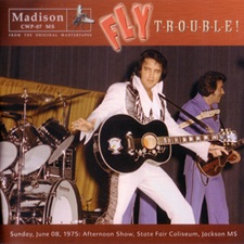 Fly Trouble
