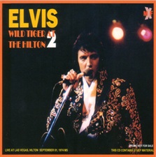 Wild Tiger At The Hilton