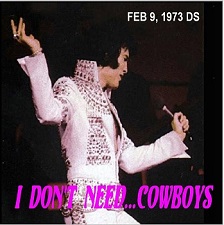 I Don't Need...Cowboys