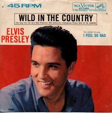 Wild In The Country / I Feel So Bad (45)